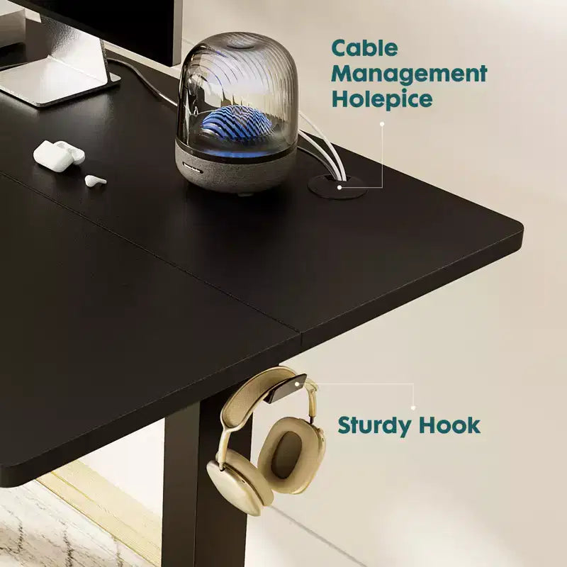Ergonomic Height Adjustable Electric Standing Desk with T-Shaped Metal Frame and Memory Presets Modern Computer Workstation55.10x23.60x46.60-Black